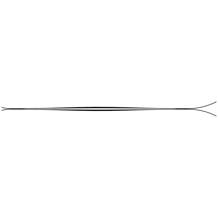 ZAG Adret 88L Skis - Women's 2022