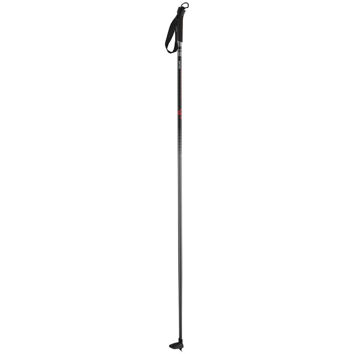 Salomon Escape Cross Country Ski Poles 2023