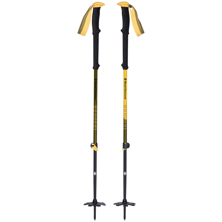 Black Diamond Expedition 2 Johnny Collinson Edition Ski Poles 2023