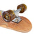 Arbor Pilsner Solstice B4BC Cruiser Skateboard Complete