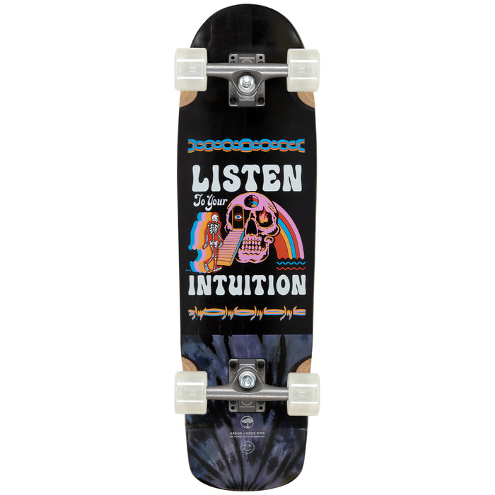 Arbor Pilsner Artist Cruiser Skateboard Complete