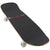 Arbor Martillo Legacy Cruiser Skateboard Complete
