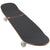 Arbor Pistola Legacy Cruiser Skateboard Complete