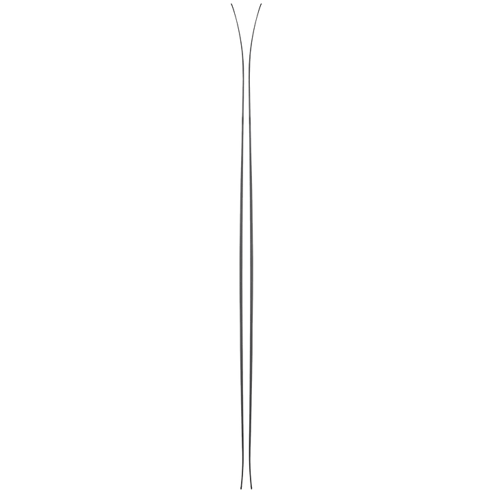 Black Diamond Helio Recon 88 Skis 2022