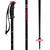 Armada Triad Ski Poles 2023 Pink