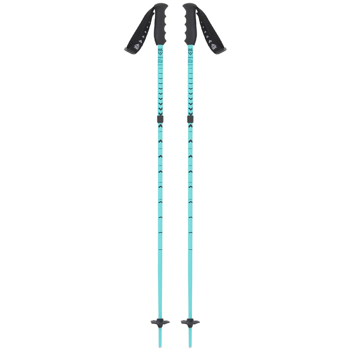 Black Crows Duos Junius Ski Poles - Kids' 2023 Green