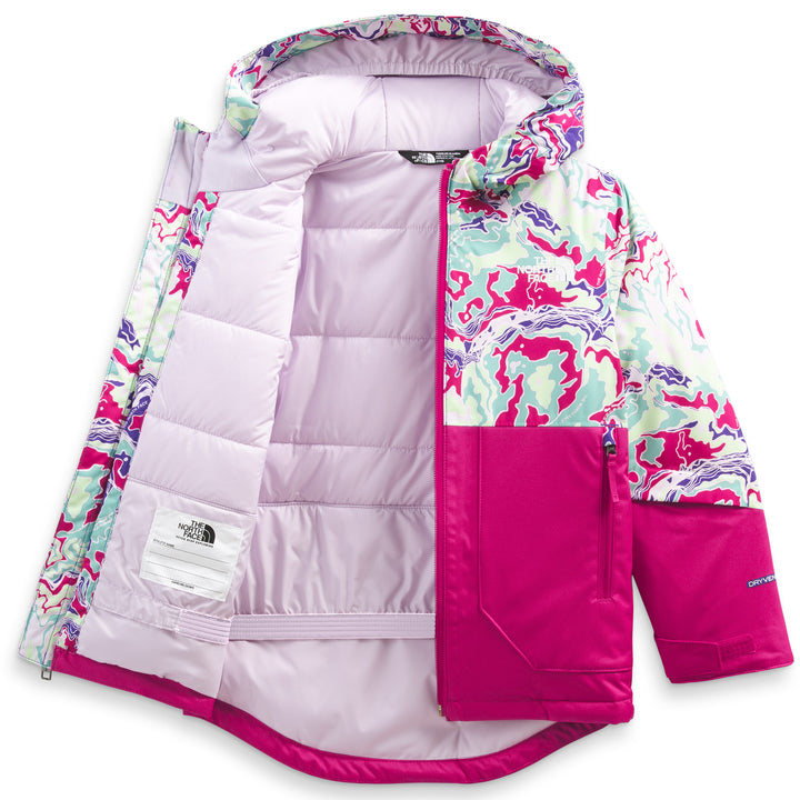 The North Face Freedom Insulated Jacket - Toddlers' Peak Purple Terrain Multi-Print