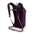 Osprey Sportlite 15 Backpack Aubergine Purple