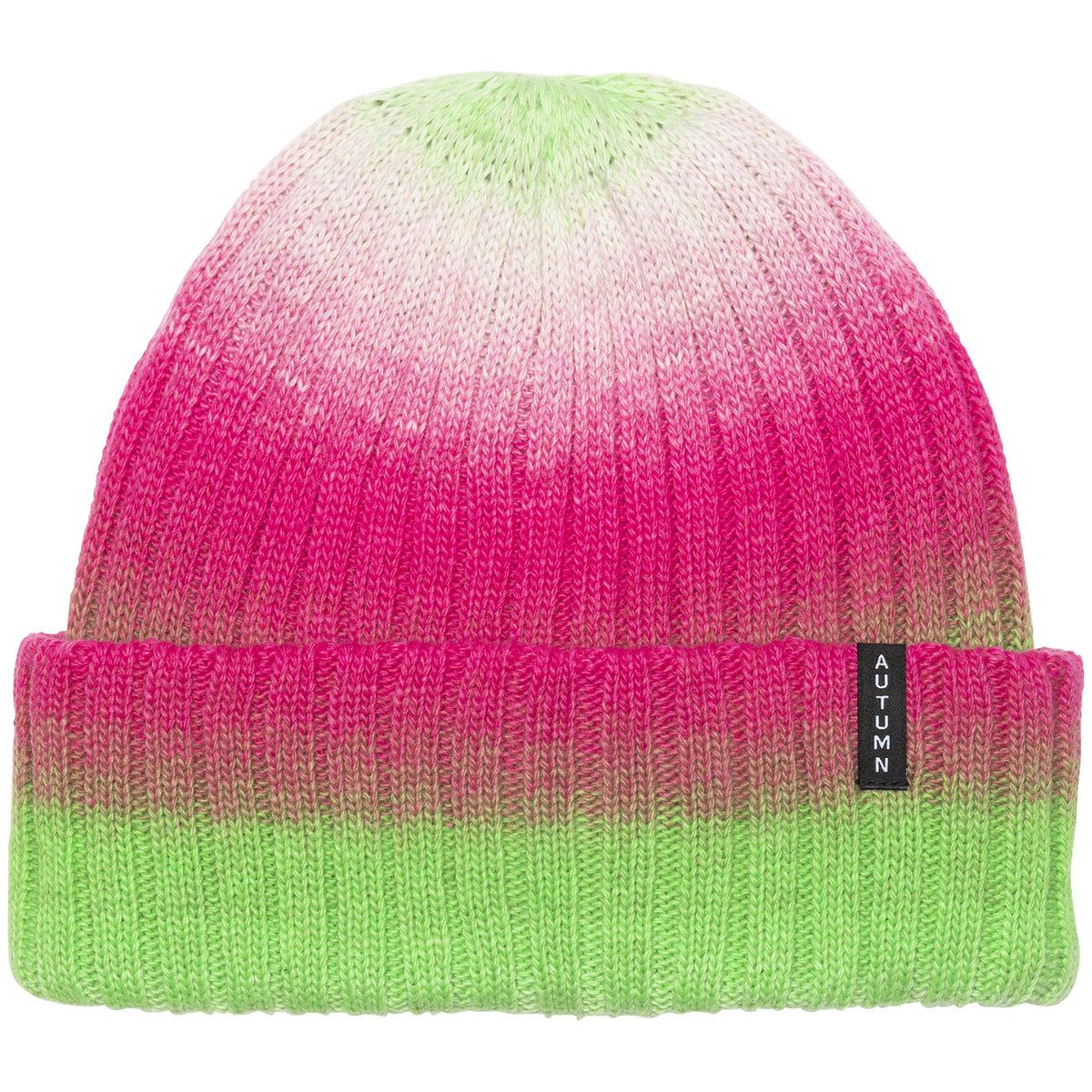 Autumn Spray Beanie Limeade