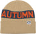 Autumn Halftime Beanie Khaki