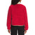The North Face Extreme Pile Pullover - Women's TNF Red