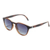 Tortoise/Ocean Polarized