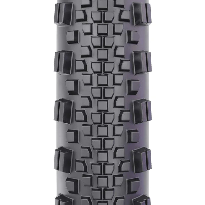 WTB Raddler Tire - 700c Black/Tan