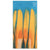 Topo Designs Tie-Dye Neck Gaitor Spill Dye