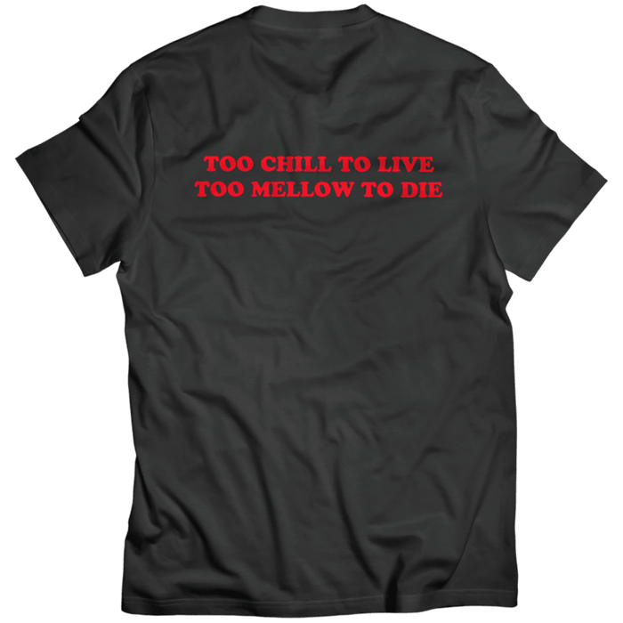 CAPiTA Spring Break Chill T-Shirt - Men's Charcoal