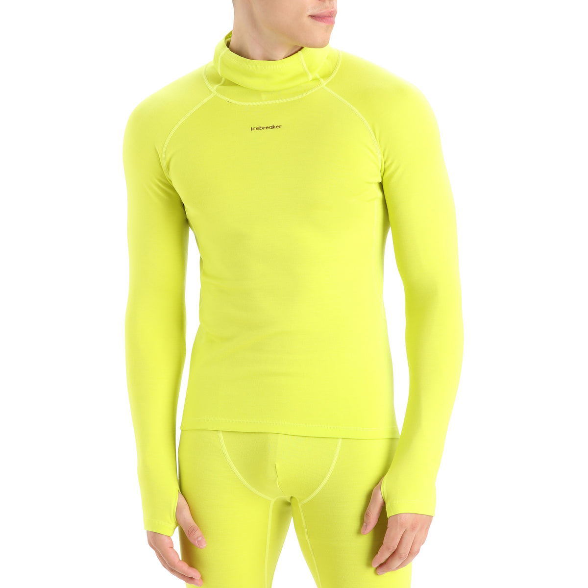 Icebreaker MerinoFine™ Long-Sleeve Roll Neck Top - Men's Shine