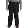 TNF Black