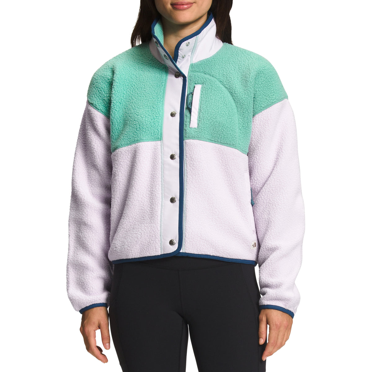The North Face Cragmont Fleece Jacket - Women's Wasabi/Lavender Fog/Shady Blue