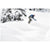 Lib Tech T.Rice Golden Orca Snowboard 2023 T.Rice Golden Orca