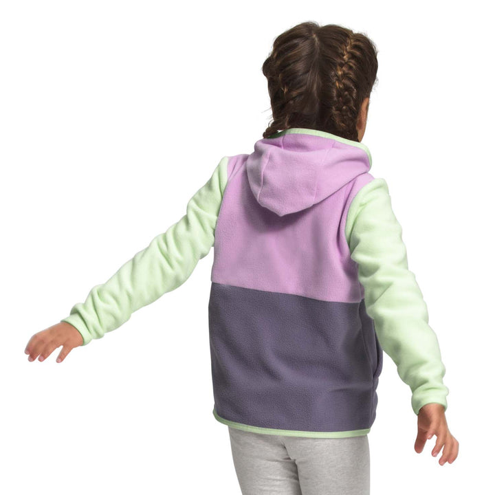 The North Face Glacier Full Zip Hoodie - Toddlers' Lupine