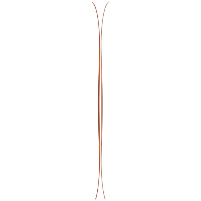 Salomon QST 98 Skis 2023