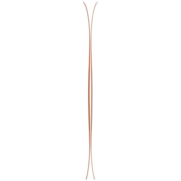 Salomon QST 98 Skis 2023