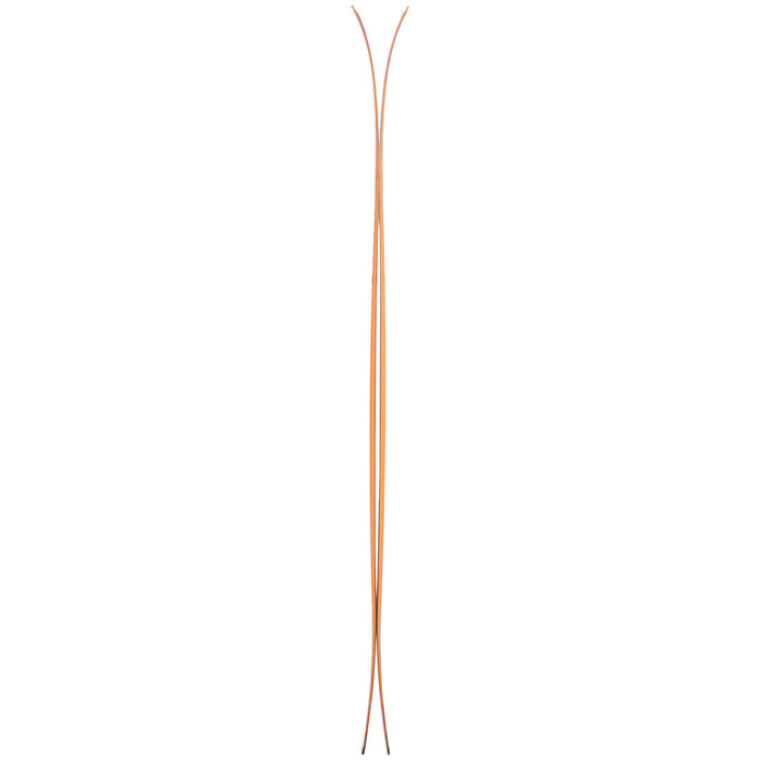 Salomon QST 106 Skis 2022