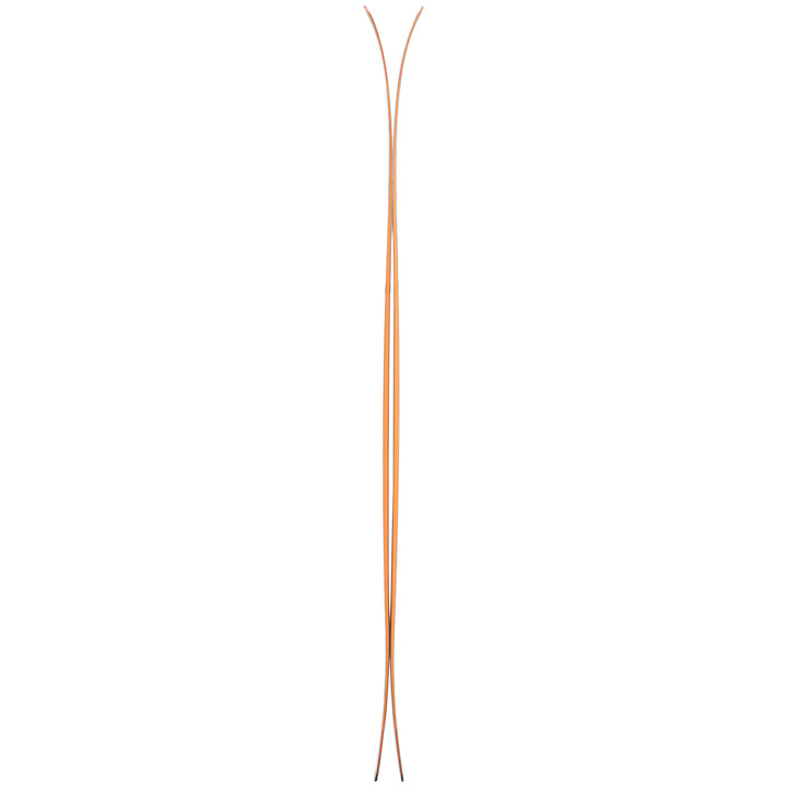 Salomon QST 106 Skis 2022