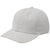 RVCA PTC 6 Panel Hat Iron
