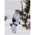 Burton GORE-TEX 2L Carbonate Anorak Jacket - Women's Gray Cloud/Silver Sconce
