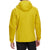Arc'teryx Atom LT Hoodie Oracle