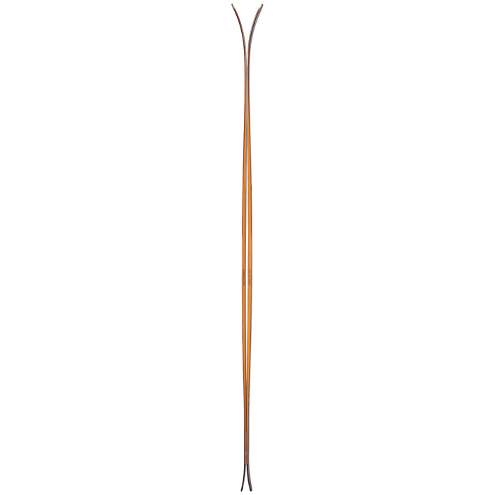 Blizzard Cochise 106 Skis 2022