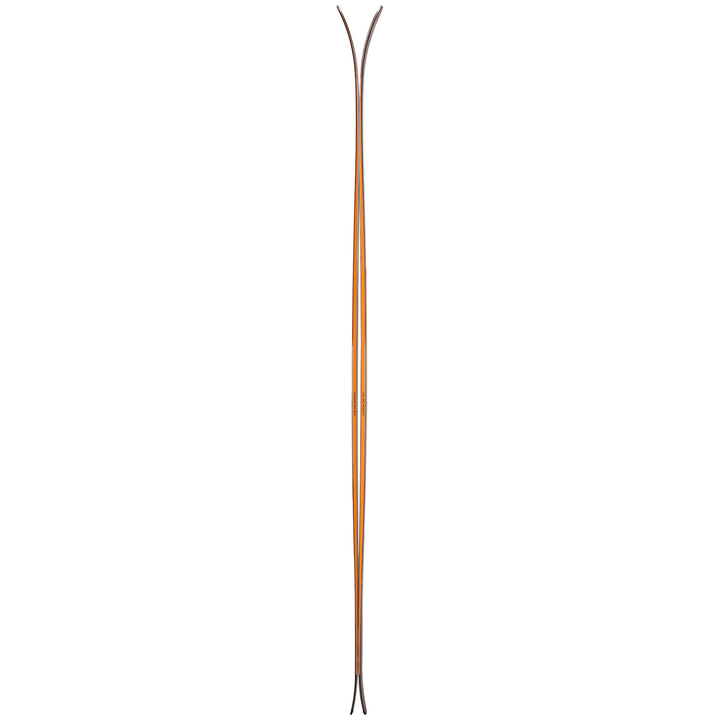 Blizzard Cochise 106 Skis 2022