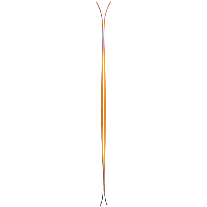 Blizzard Hustle 10 Skis 2024