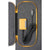 BioLite 100 Solar Panel