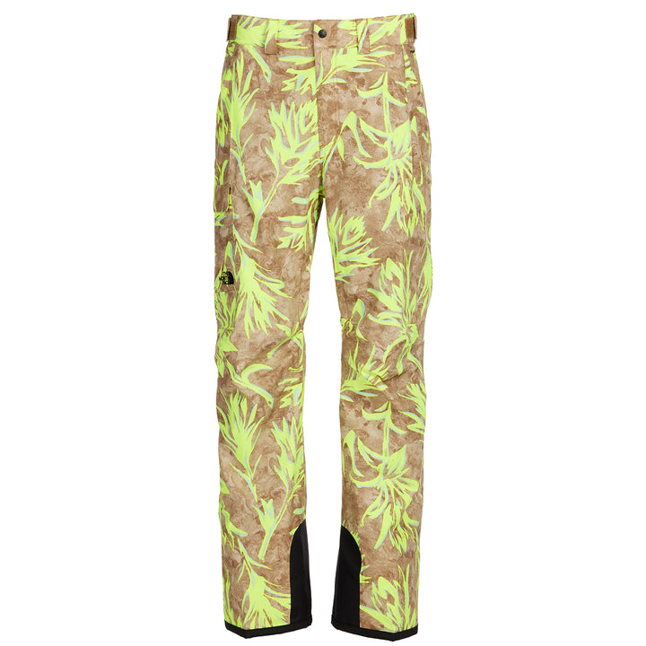 The North Face Freedom Pants - Men's Utility Brown Prairie Paintbrush Print