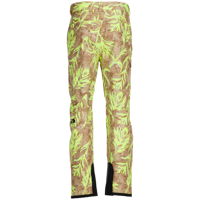 The North Face Freedom Pants - Men's Utility Brown Prairie Paintbrush Print