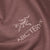 Arc'teryx Ionia Arc'Word Short-Sleeve Tee - Men's Velvet Sand