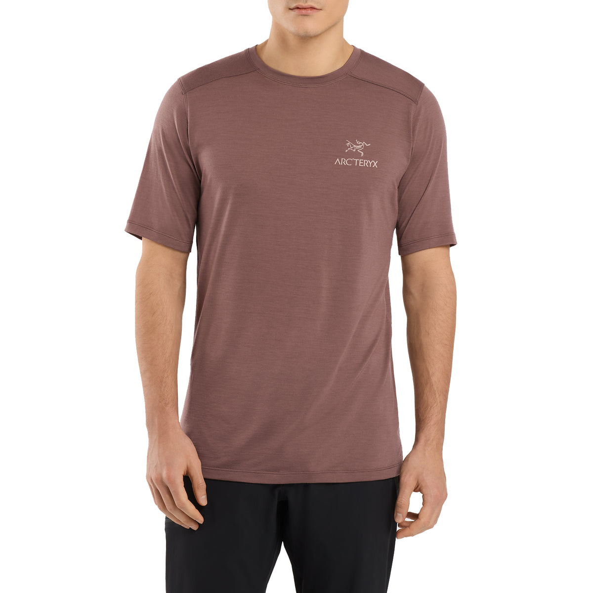 Arc'teryx Ionia Arc'Word Short-Sleeve Tee - Men's Velvet Sand