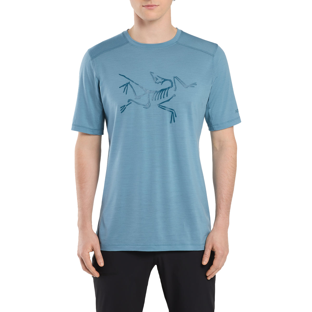 Arc'teryx Ionia Logo Tee - Men's Solace