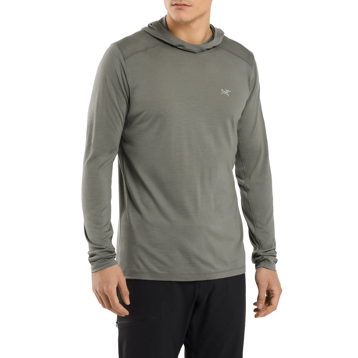Arc'teryx Ionia Hoodie - Men's Forage