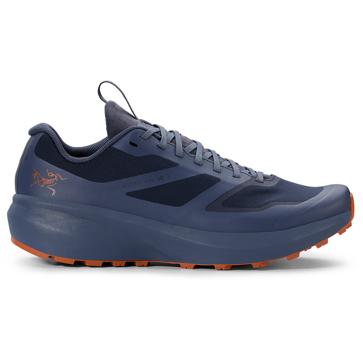 Arc'teryx Norvan LD 3 GTX Shoes - Men's Kingfisher/Fika