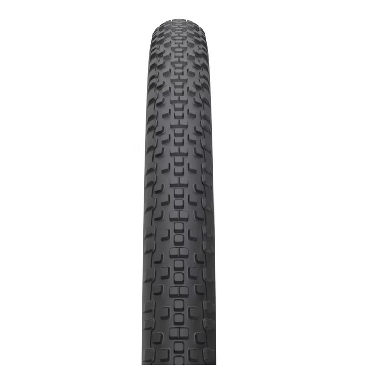 WTB Resolute Tire - 700c Black/Tan